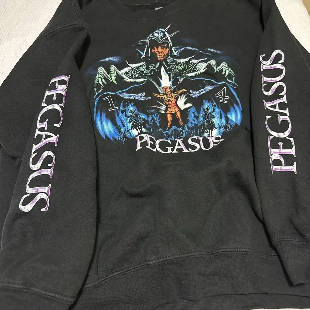 Pegasus 14 Large Black Sweater Men’s